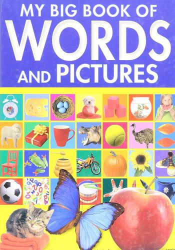 My Big Book Of Words And Picture 